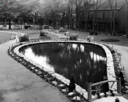 Une vue du parc Antoine-Racine, situé au coin des rues Brooks, Gillepsie et Ball, vers 1937. Le parc est créé en 1891 à la demande de citoyens, qui demandent un espace vert pour le quartier sud surpeuplé. Il porte le nom du premier évêque de Sherbrooke.
