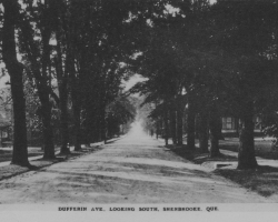 La rue Dufferin en direction sud, vers 1905. La rue est située dans le « Vieux-Nord », et comprend de nombreuses maisons bourgeoises, des églises et des institutions diverses (bureau de poste, siège de la Eastern Townships Bank, etc.).