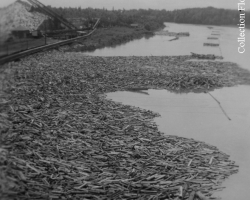 Du bois qui flotte sur la rivière Saint-François. Il sert à l’approvisionnement des usines que la Brompton Pulp & Paper Company opère à East Angus et à Bromptonville. Vers 1940.